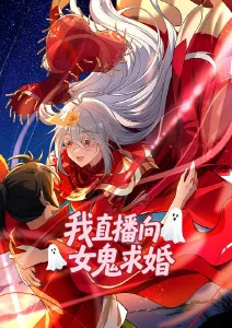 高分动漫第九次日落海报